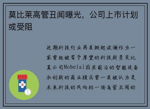 莫比莱高管丑闻曝光，公司上市计划或受阻